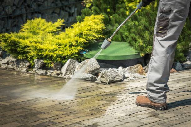Best Dumpster Area Cleaning  in Montz, LA